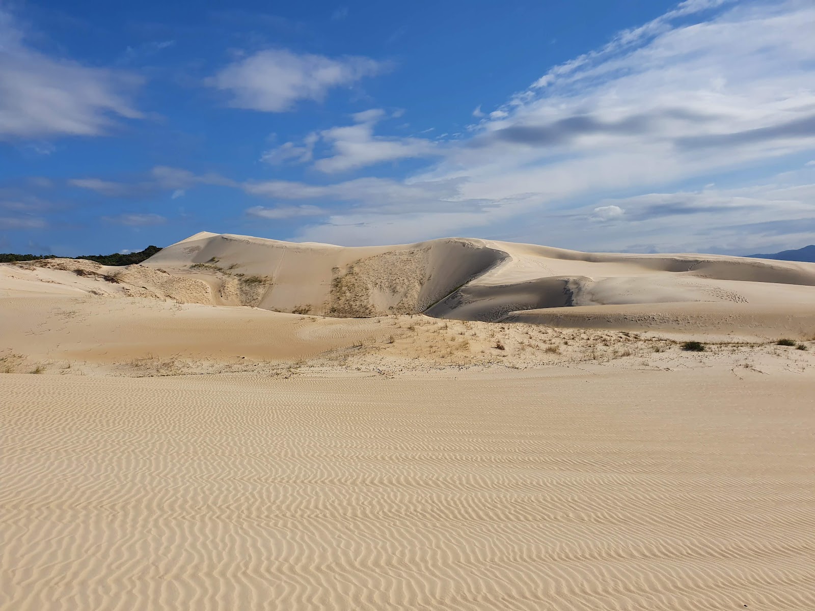 Dunas da Ribanceira, Ibiraquera